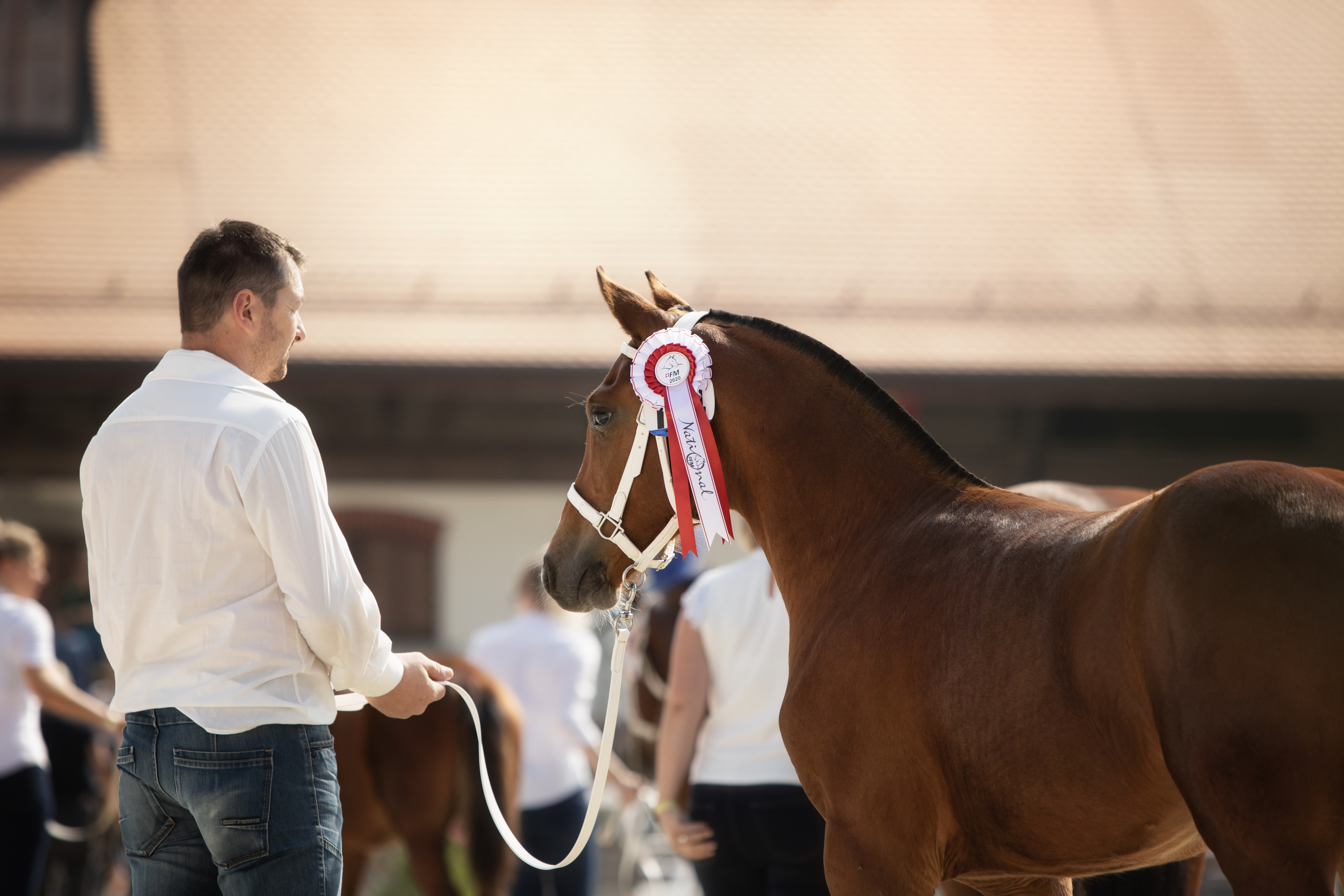 Genossenschafts Cup - Coupe des syndicats