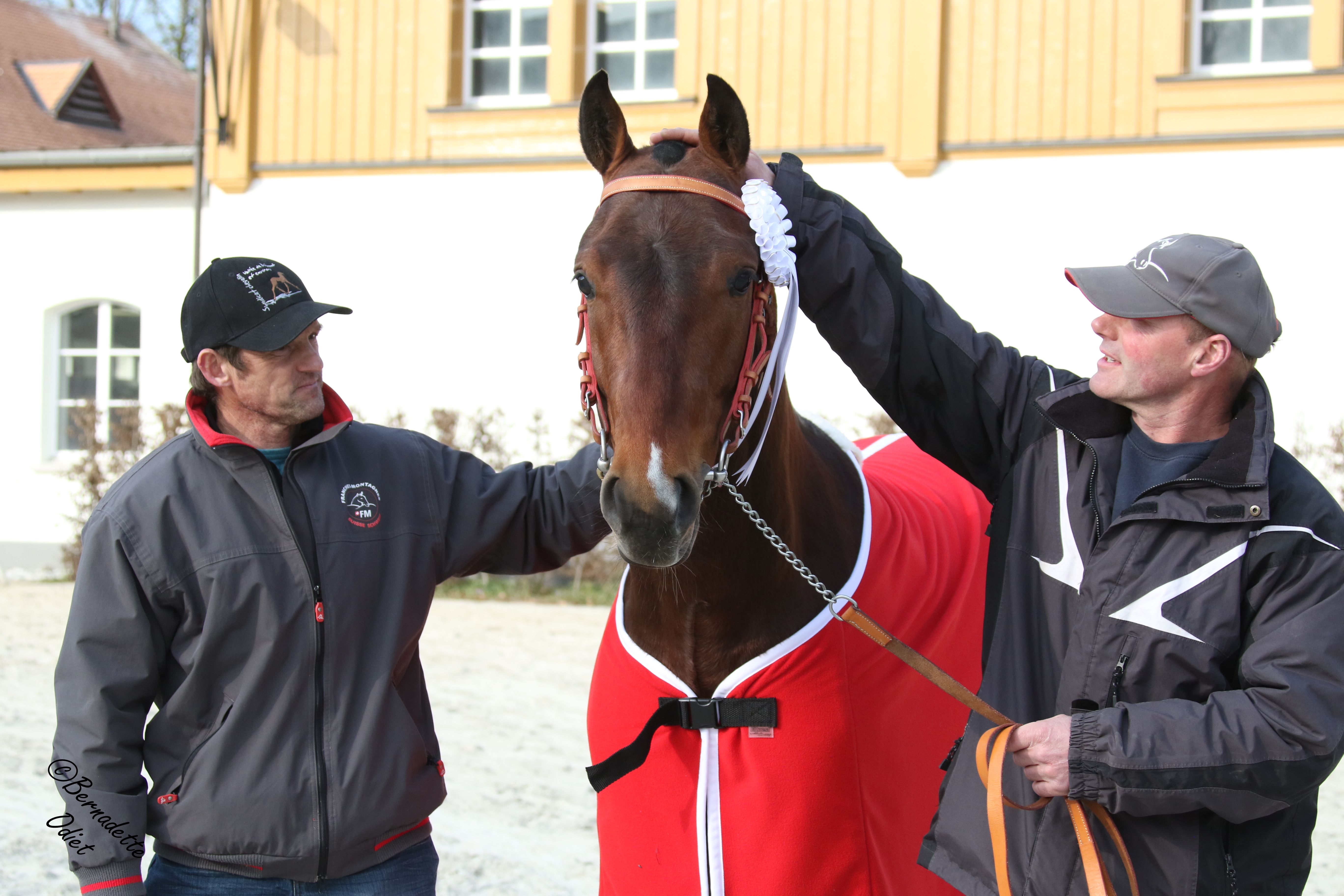 Sieger 2021 - Nax (Never BW-L’Artiste-Lorrado), Pierre-André Odiet, Pleigne